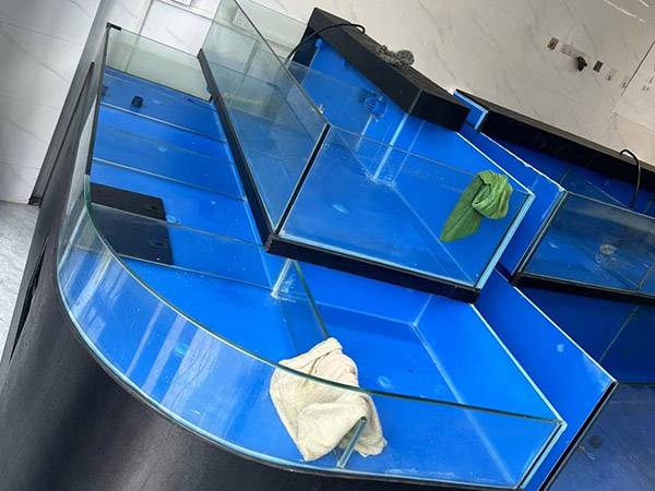 海鮮(xiān)池 海鮮(xiān)魚(yú)缸 酒店魚(yú)缸