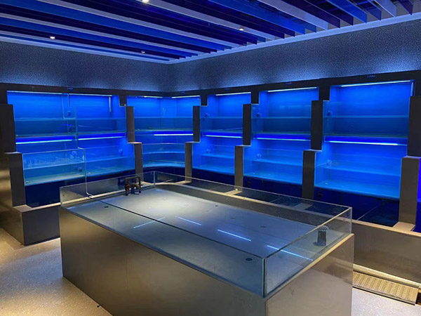 海鮮(xiān)池 海鮮(xiān)魚(yú)缸 酒店魚(yú)缸