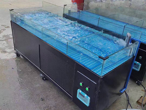 海鮮池 海鮮魚缸 酒店魚缸