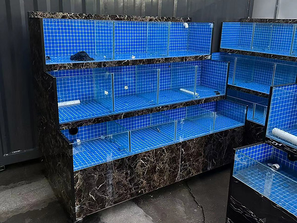 海鮮(xiān)池 海鮮(xiān)魚(yú)缸 酒店魚(yú)缸