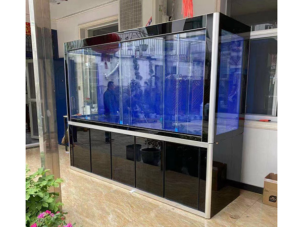 海鮮池 海鮮魚缸 酒店魚缸