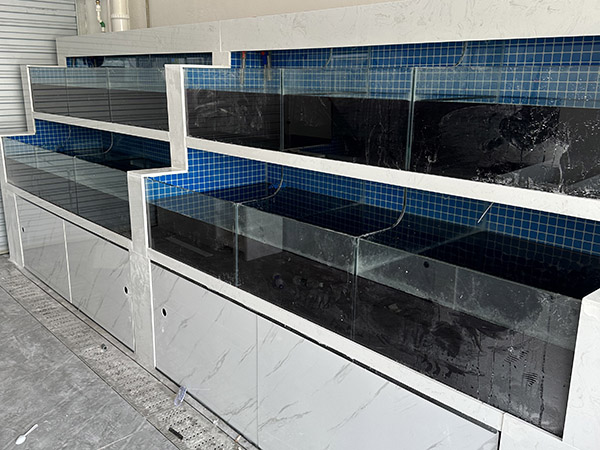 海鮮(xiān)池 海鮮(xiān)魚(yú)缸 酒店魚(yú)缸