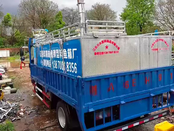 魚箱 運輸魚箱視頻